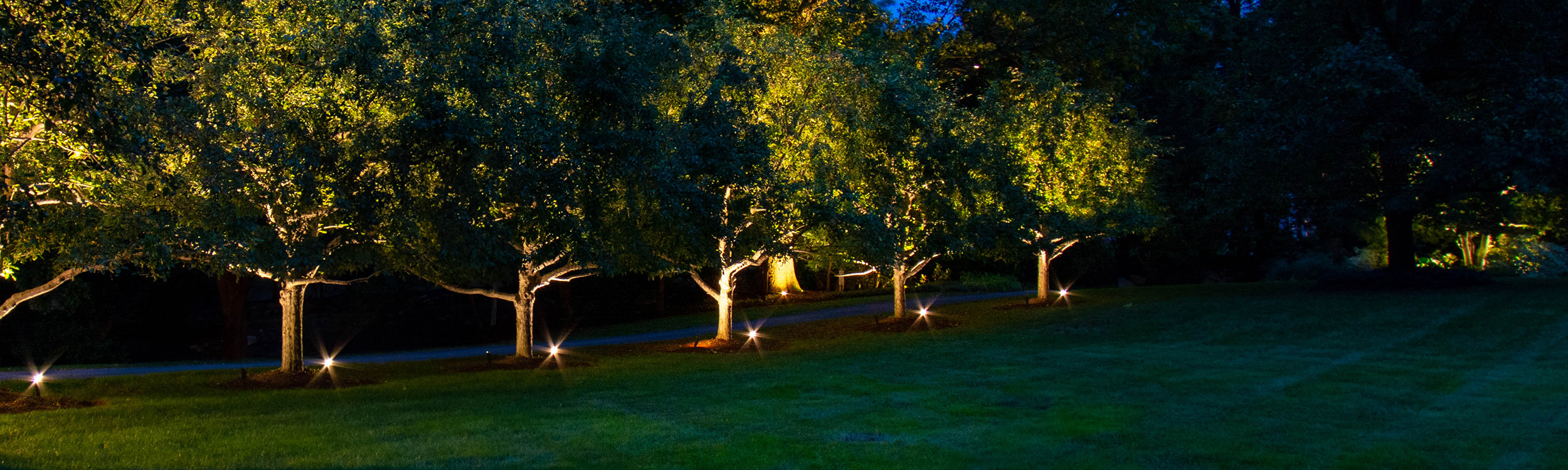 Commonwealth Landscape Lighting