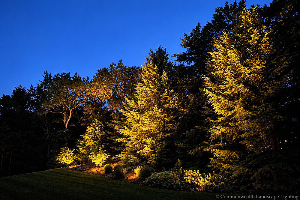 Concord, MA Landscape Lighting Portfolio #1 - Photo #2
