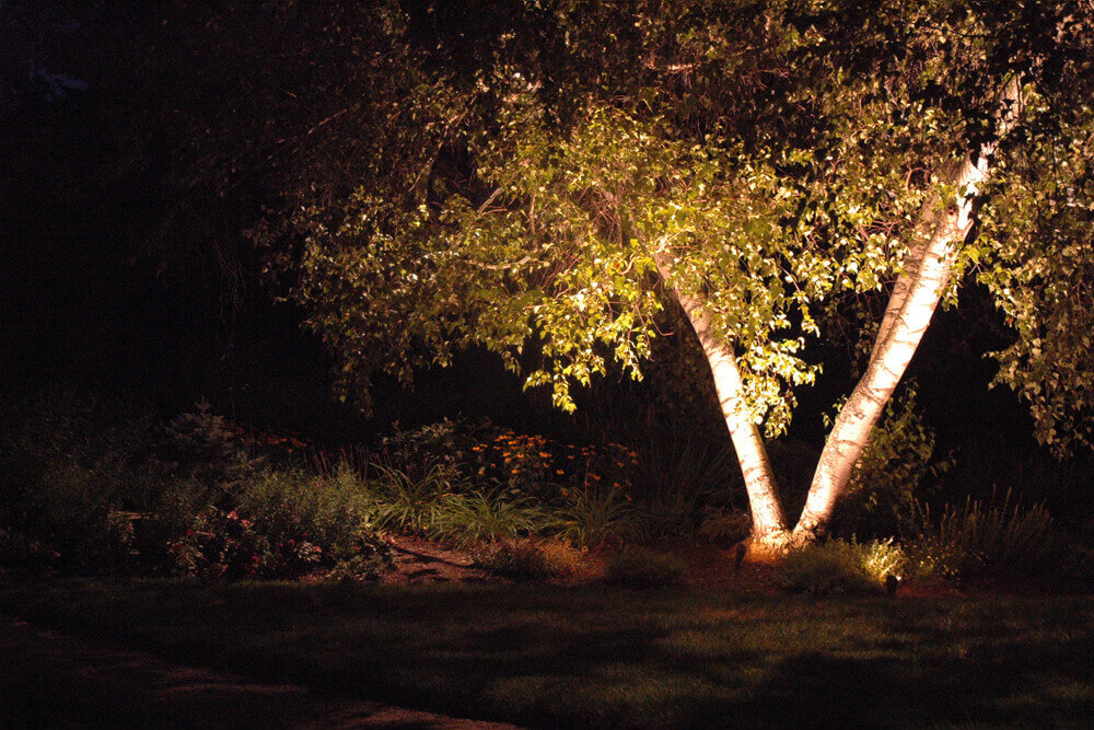 Landscape Lighting Portfolio