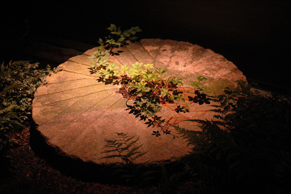 Landscape Lighting Portfolio