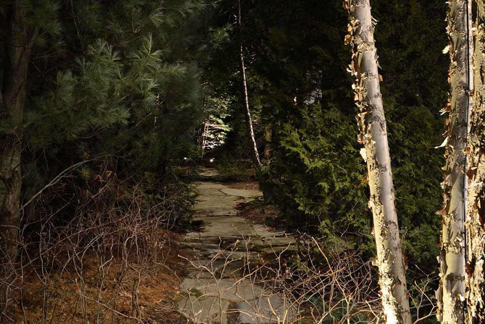 Landscape Lighting Portfolio