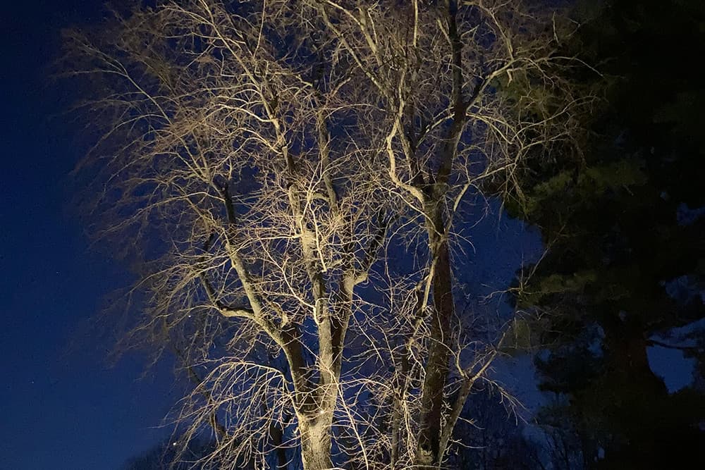 Landscape Lighting Portfolio - Photo #9